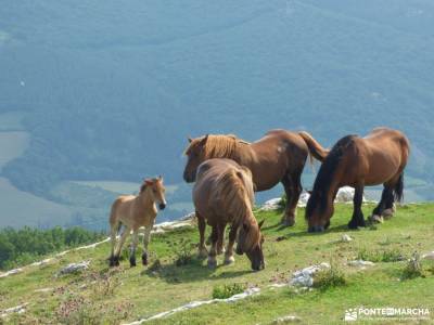 Urbasa-Andía;Aizkorri-Aratz;Aralar; sierra de guadarrama madrid duques de alburquerque club escalad